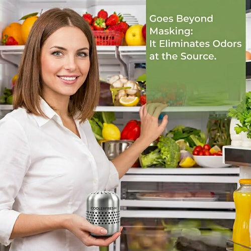 CoolerFresh – Fridge Odor & Bacteria Purifier