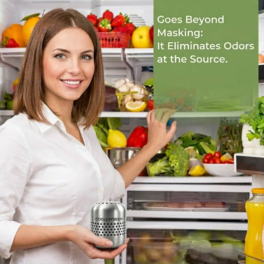 CoolerFresh – Odor & Bacteria Purifier